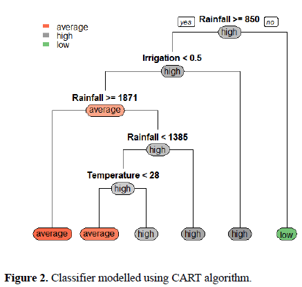 biomedical-imaging-bioengineering-CART-algorithm