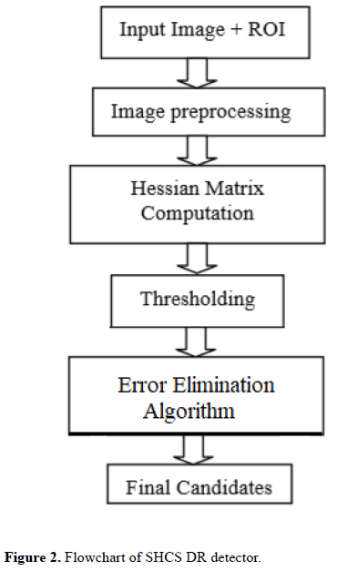 biomedical-imaging-bioengineering-Flowchart