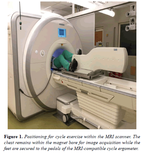 biomedical-imaging-bioengineering-Positioning-cycle