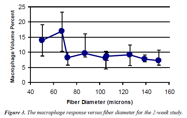 biomedical-imaging-bioengineering-macrophage-response