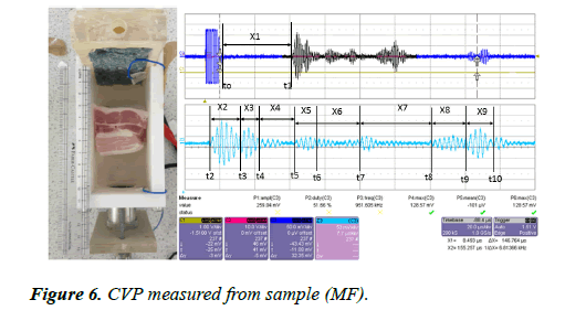 biomedical-imaging-bioengineering-measured