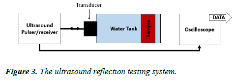 biomedical-imaging-bioengineering-reflection