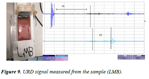 biomedical-imaging-bioengineering-signal-sample