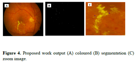 biomedical-imaging-bioengineering-work-output