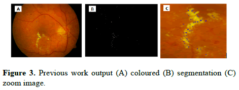 biomedical-imaging-bioengineering-zoom-image