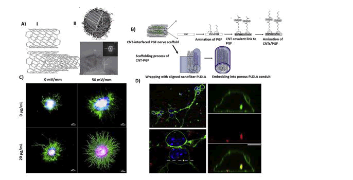 biomedical-imaging-devices-conductive