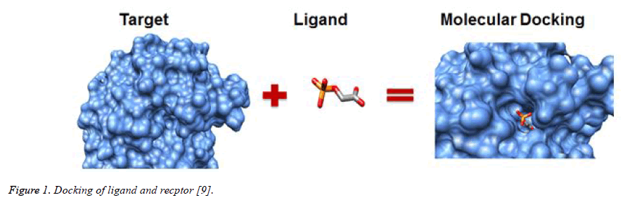 biomedical-pharmaceutical-sciences-Docking