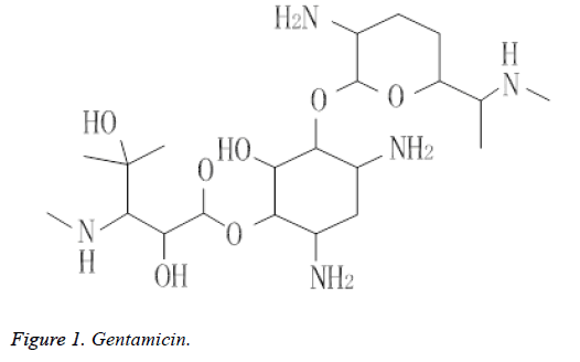 biomedical-pharmaceutical-sciences-gentamicin