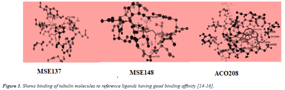 biomedical-pharmaceutical-sciences-good-binding