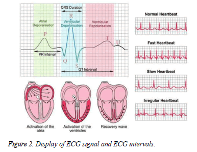 biomedical-pharmaceutical-sciences-intervals