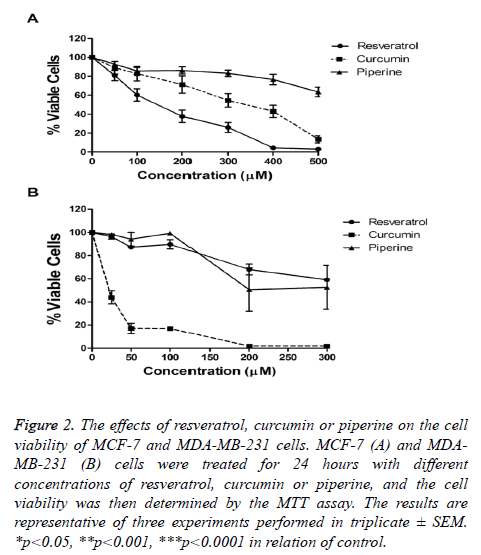 biomedres-curcumin