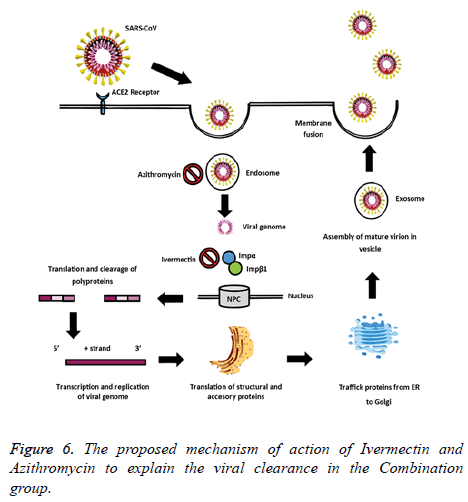 biomedres-mechanism