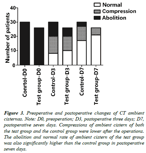 brain-neurology-ambient-cisternas