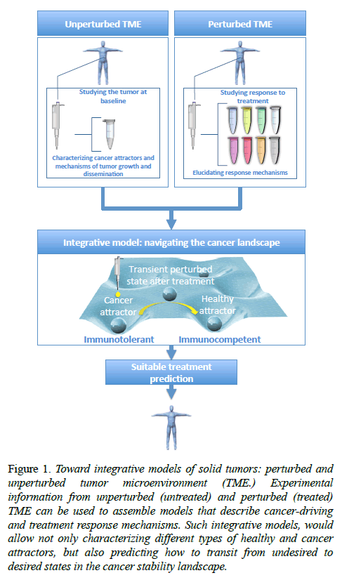 cancer-immunology-therapy-Toward-integrative