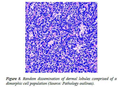 cancer-immunology-therapy-cell-population