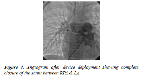 cardiovascular-medicine-therapeutics-deployment