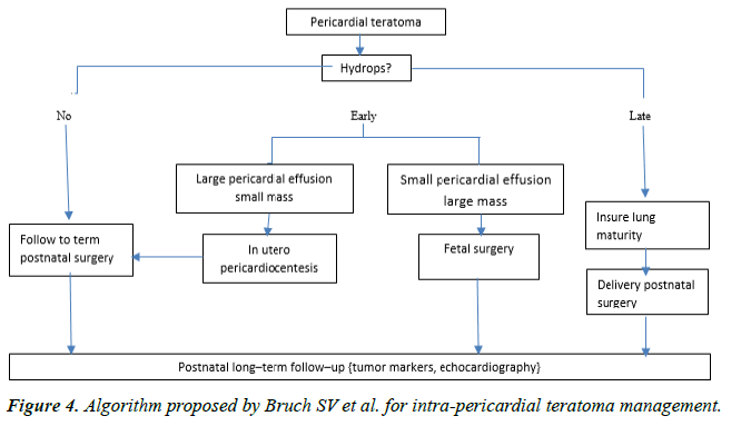 cardiovascular-medicine-therapeutics-pericardial