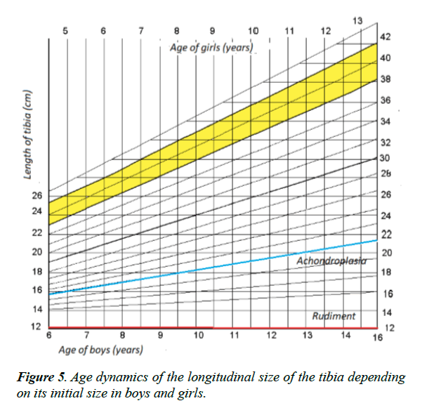 child-adolescent-health-Age-dynamics