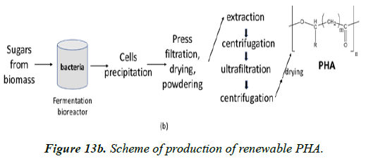 clinical-dermatology-renewable