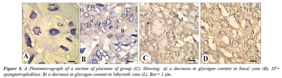 clinical-experimental-toxicology-decrease-glycogen