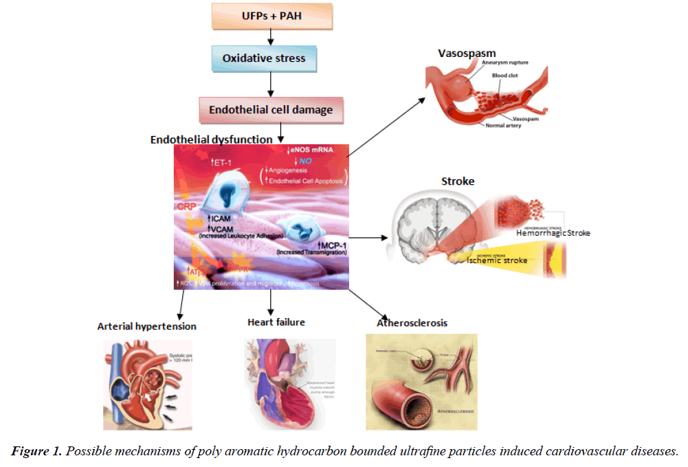 clinical-experimental-toxicology-poly-aromatic-hydrocarbon