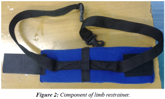 clinical-experimental-traumatology-Component-limb-restrainer