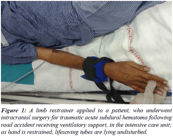 clinical-experimental-traumatology-limb-restrainer