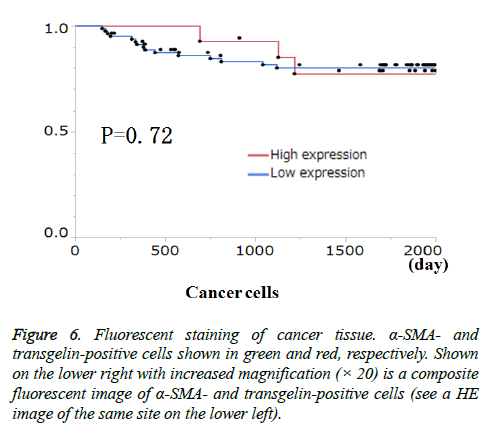 clinical-oncology-Fluorescent-staining