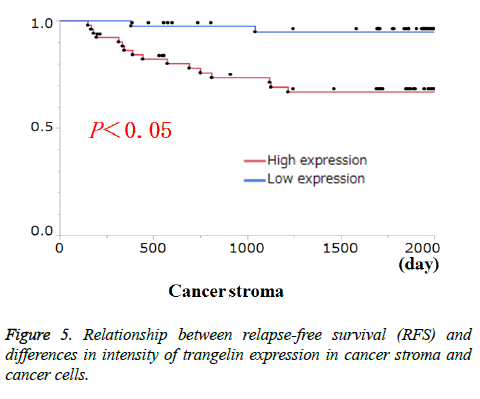 clinical-oncology-cancer-stroma