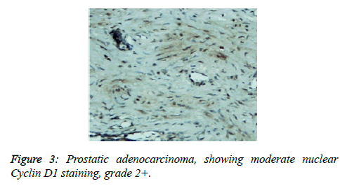 clinical-oncology-moderate-nuclear