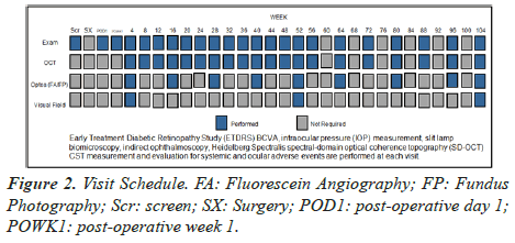 clinical-ophthalmology-vision-science-Fluorescein