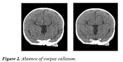 clinical-ophthalmology-vision-science-corpus