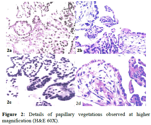 clinical-pathology-higher-magnification