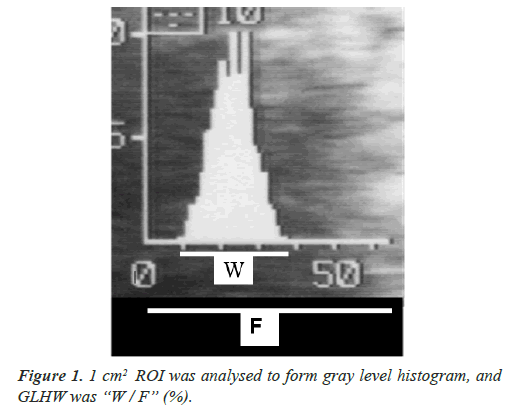 clinical-pathology-laboratory-medicine-gray-level-histogram