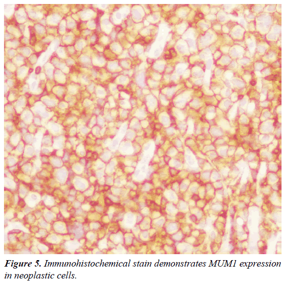 clinical-pathology-laboratory-medicine-stain-demonstrates