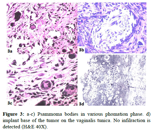 clinical-pathology-phomation-phase