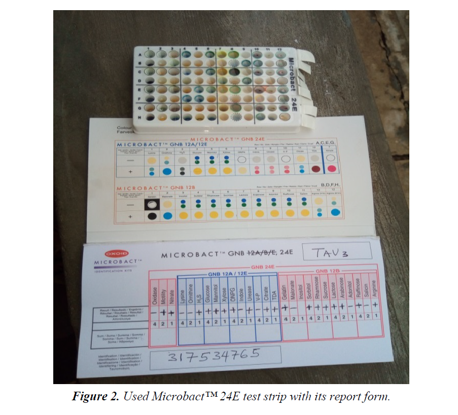 clinical-research-pharmacy-test-strip