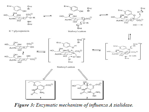 clinical-vaccine-research-Enzymatic