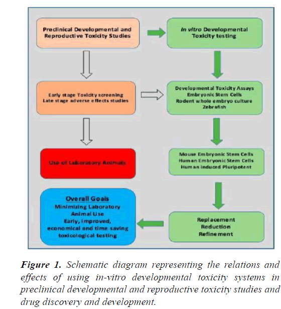 clinical-vaccine-research-toxicity