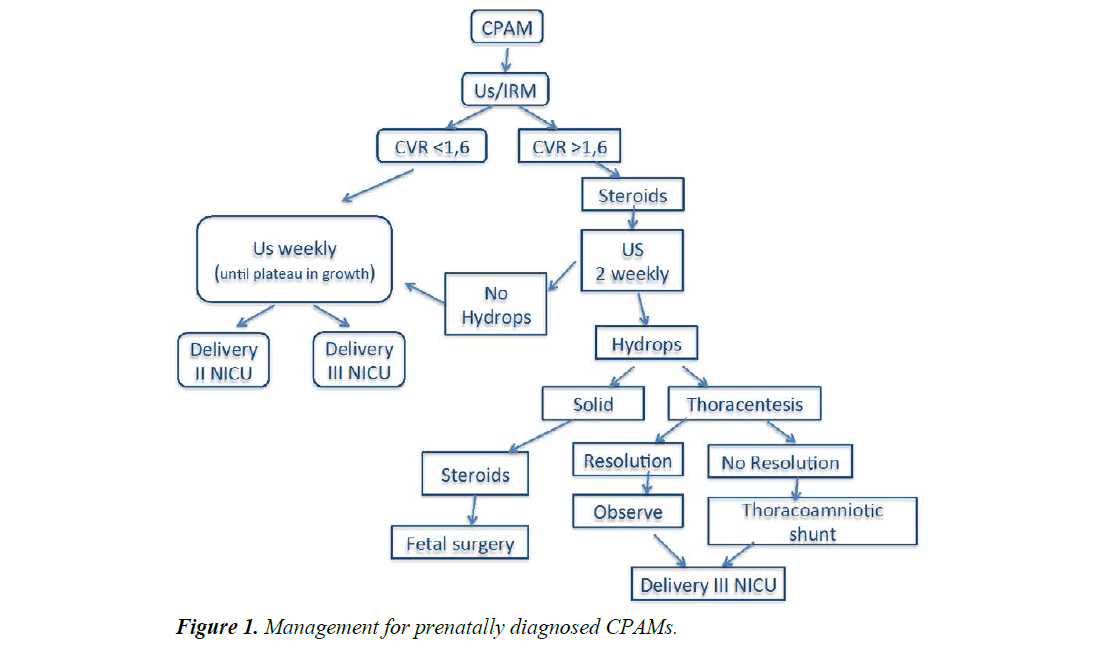 current-pediatric-research-prenatally-diagnosed