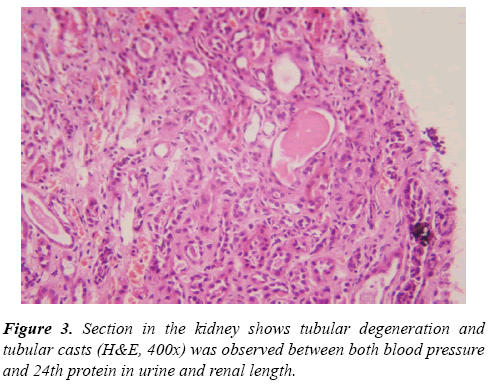 current-pediatrics-tubular