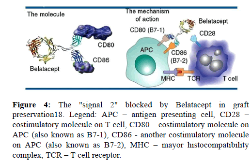 current-trends-cardiology-costimulatory