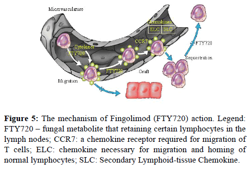 current-trends-cardiology-fungal