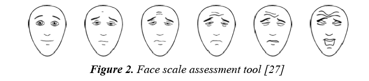 currentpediatrics-Face-scale-assessment