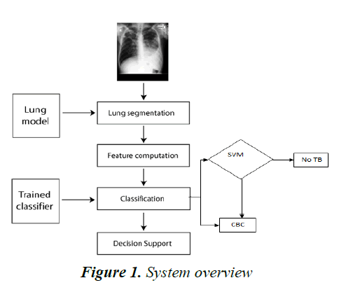 currentpediatrics-System-overview