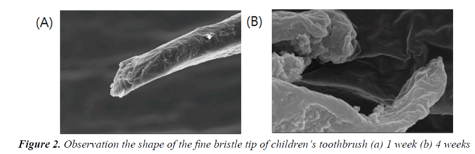 currentpediatrics-bristle-tip