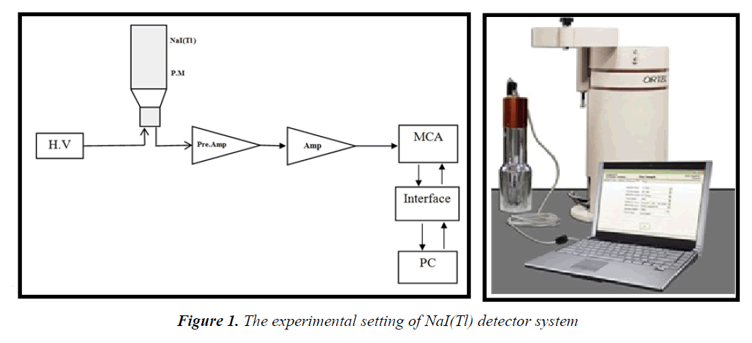 currentpediatrics-detector-system