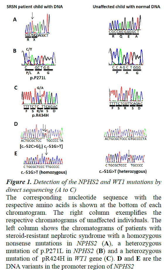 currentpediatrics-direct-sequencing