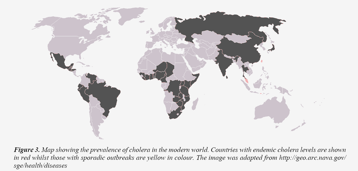 currentpediatrics-prevalence-cholera