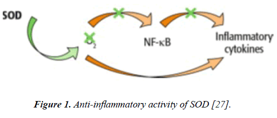 dermatology-research-skin-care-Anti-inflammatory